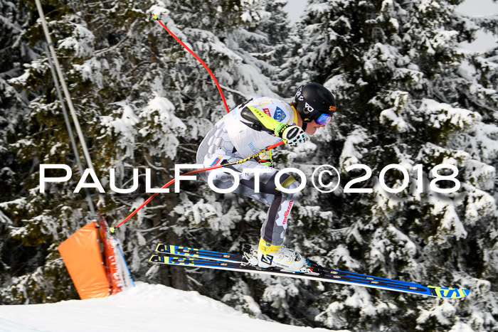 Int. FIS Rennen + NJC Herren, SG, Götschen, 26.02.2018