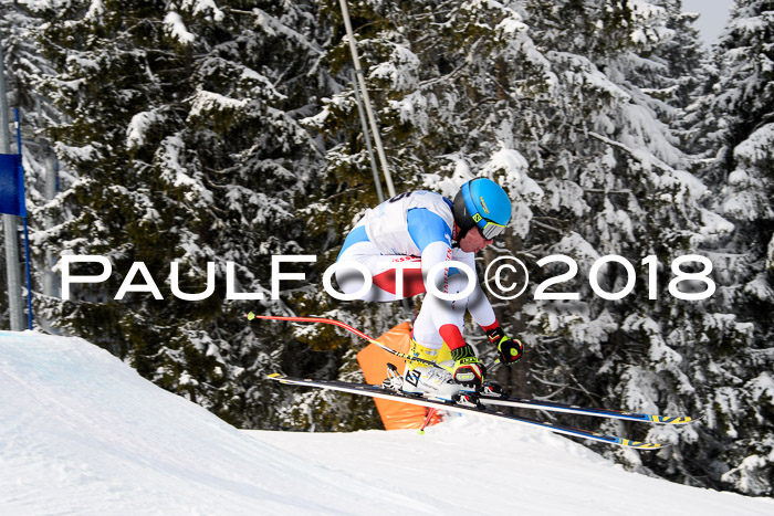 Int. FIS Rennen + NJC Herren, SG, Götschen, 26.02.2018