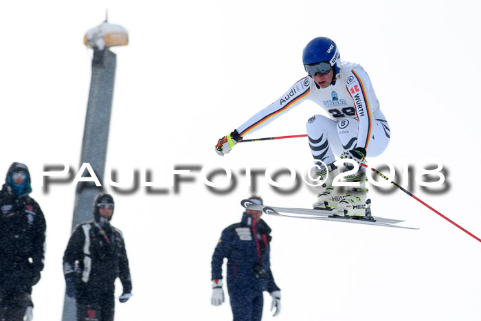 Int. FIS Rennen + NJC Herren, SG, Götschen, 26.02.2018