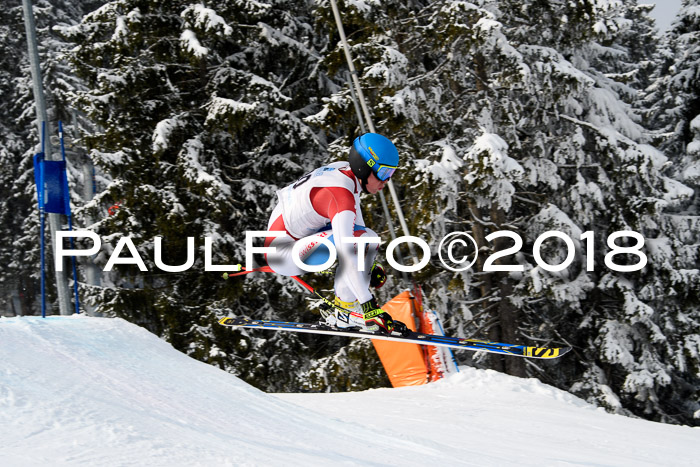 Int. FIS Rennen + NJC Herren, SG, Götschen, 26.02.2018