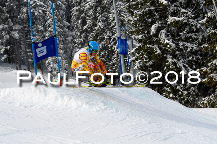 Int. FIS Rennen + NJC Herren, SG, Götschen, 26.02.2018