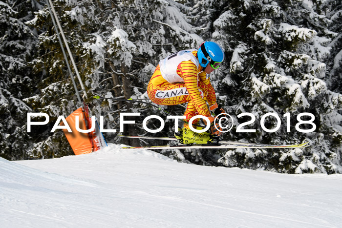 Int. FIS Rennen + NJC Herren, SG, Götschen, 26.02.2018