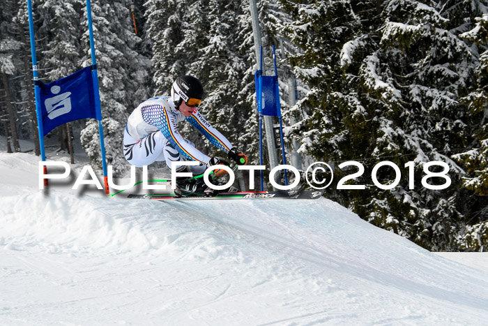 Int. FIS Rennen + NJC Herren, SG, Götschen, 26.02.2018