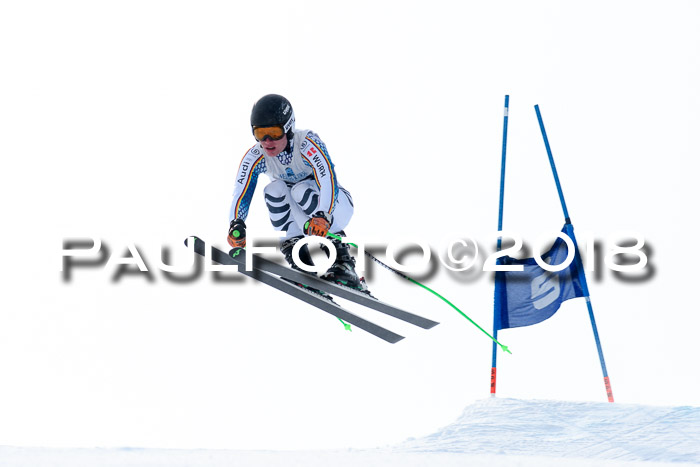 Int. FIS Rennen + NJC Herren, SG, Götschen, 26.02.2018