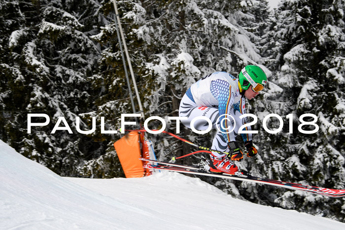 Int. FIS Rennen + NJC Herren, SG, Götschen, 26.02.2018