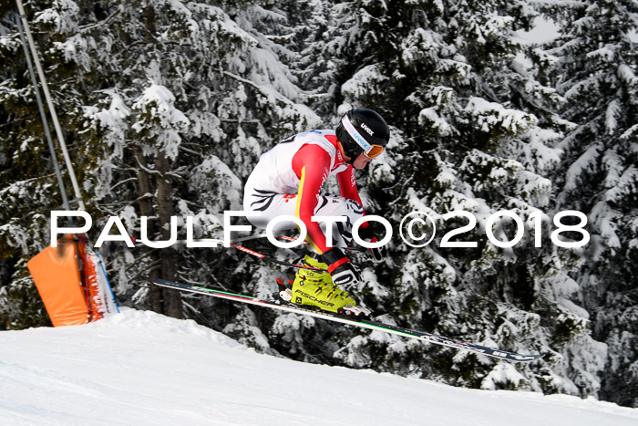 Int. FIS Rennen + NJC Herren, SG, Götschen, 26.02.2018