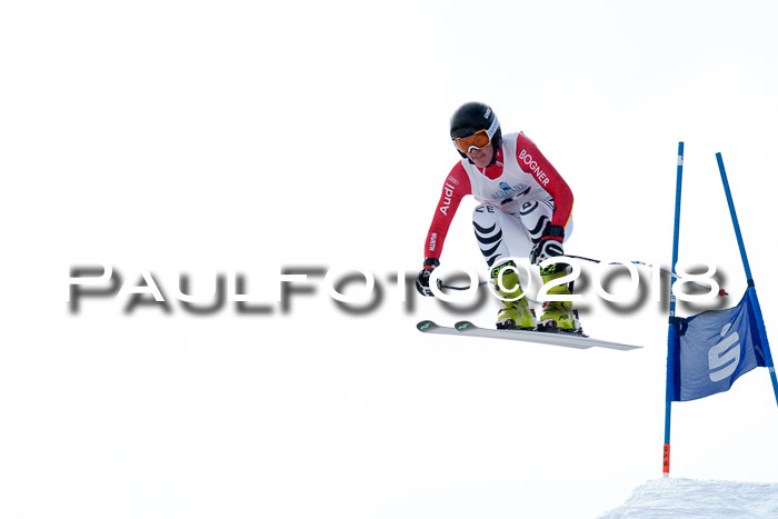 Int. FIS Rennen + NJC Herren, SG, Götschen, 26.02.2018