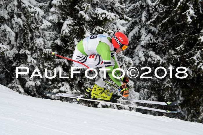 Int. FIS Rennen + NJC Herren, SG, Götschen, 26.02.2018