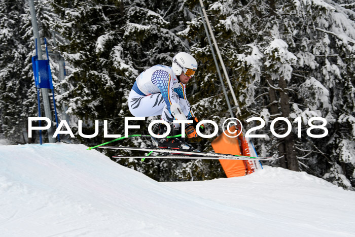 Int. FIS Rennen + NJC Herren, SG, Götschen, 26.02.2018