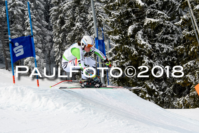 Int. FIS Rennen + NJC Herren, SG, Götschen, 26.02.2018