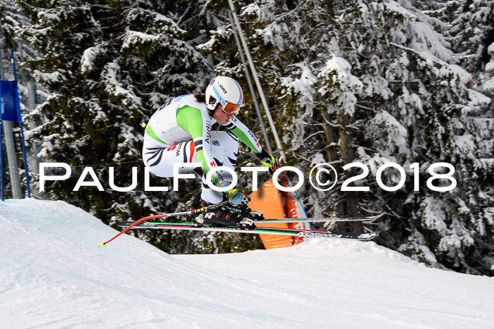 Int. FIS Rennen + NJC Herren, SG, Götschen, 26.02.2018