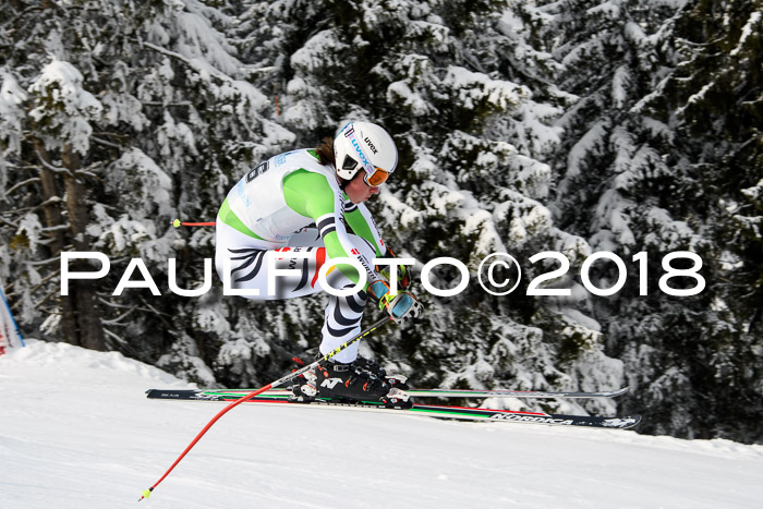 Int. FIS Rennen + NJC Herren, SG, Götschen, 26.02.2018