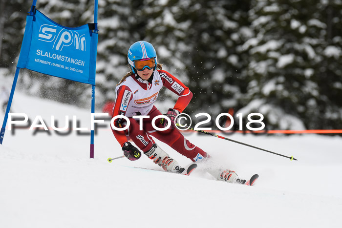 Dt. Schülercup U14 Finale, Riesenslalom, 03.03.2018