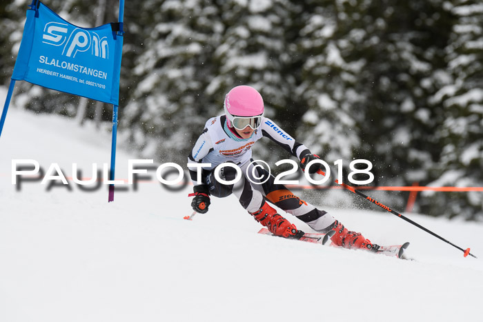 Dt. Schülercup U14 Finale, Riesenslalom, 03.03.2018