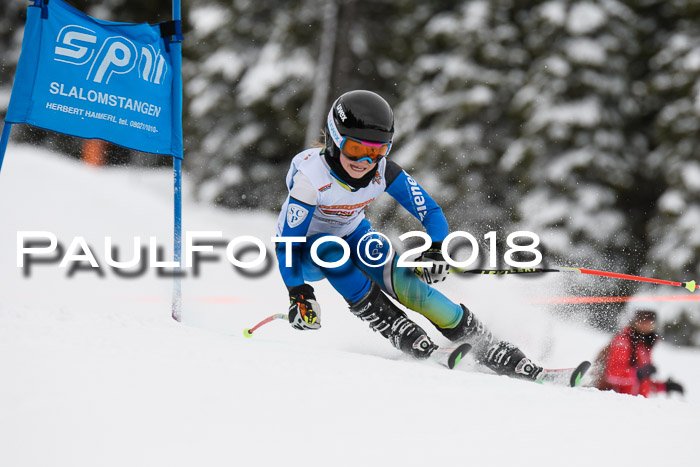 Dt. Schülercup U14 Finale, Riesenslalom, 03.03.2018