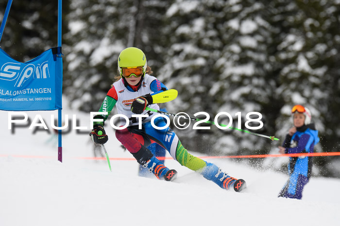 Dt. Schülercup U14 Finale, Riesenslalom, 03.03.2018