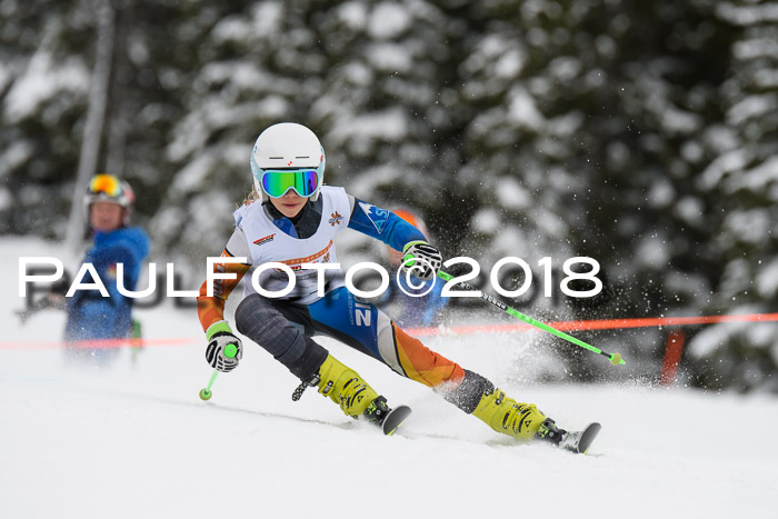 Dt. Schülercup U14 Finale, Riesenslalom, 03.03.2018