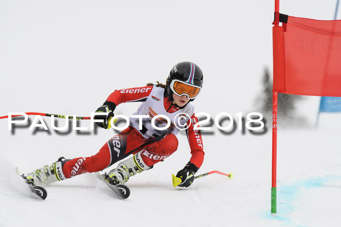 Dt. Schülercup U14 Finale, Riesenslalom, 03.03.2018