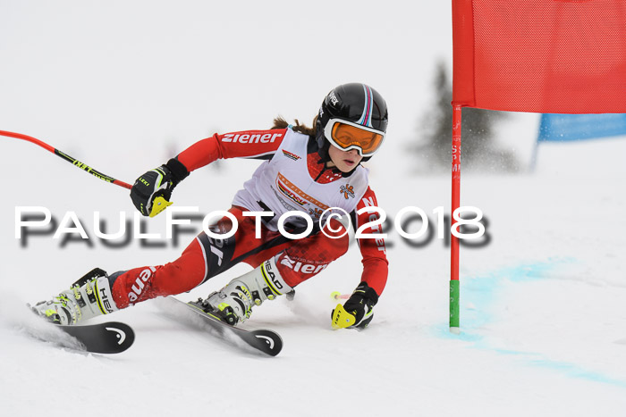 Dt. Schülercup U14 Finale, Riesenslalom, 03.03.2018