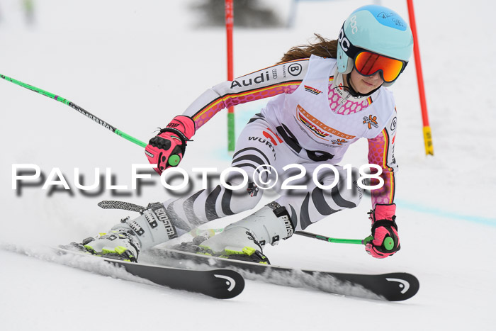 Dt. Schülercup U14 Finale, Riesenslalom, 03.03.2018