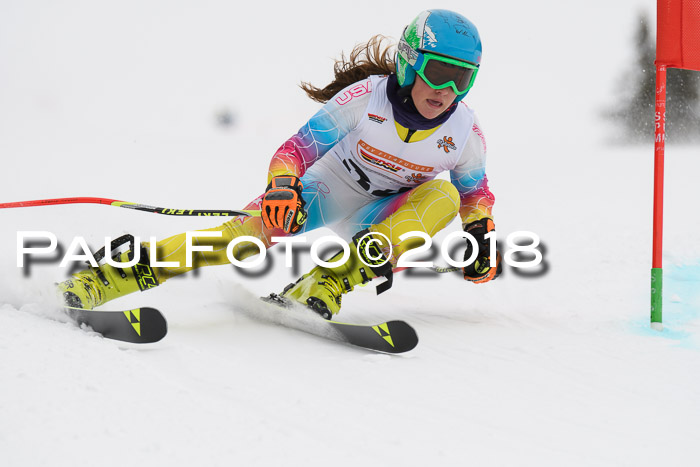 Dt. Schülercup U14 Finale, Riesenslalom, 03.03.2018