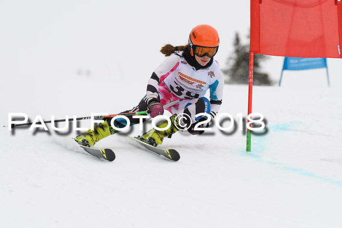 Dt. Schülercup U14 Finale, Riesenslalom, 03.03.2018