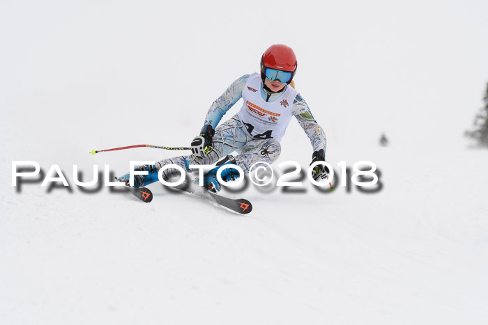 Dt. Schülercup U14 Finale, Riesenslalom, 03.03.2018