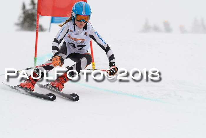 Dt. Schülercup U14 Finale, Riesenslalom, 03.03.2018