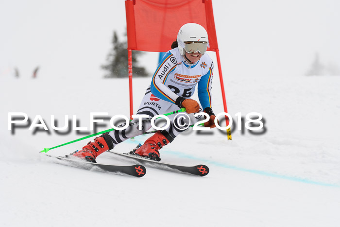 Dt. Schülercup U14 Finale, Riesenslalom, 03.03.2018