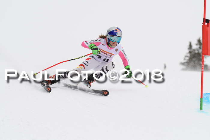 Dt. Schülercup U14 Finale, Riesenslalom, 03.03.2018