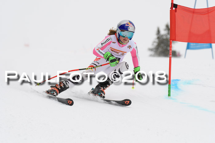 Dt. Schülercup U14 Finale, Riesenslalom, 03.03.2018