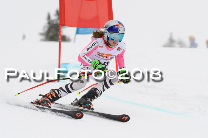 Dt. Schülercup U14 Finale, Riesenslalom, 03.03.2018