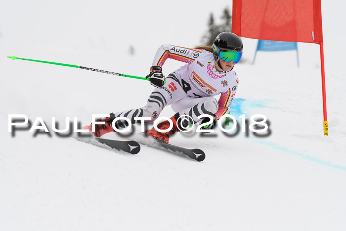 Dt. Schülercup U14 Finale, Riesenslalom, 03.03.2018