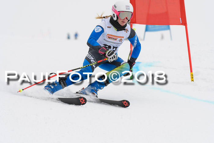 Dt. Schülercup U14 Finale, Riesenslalom, 03.03.2018