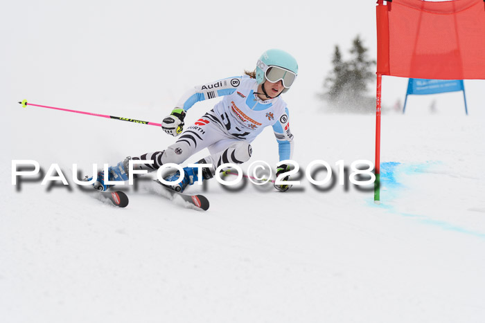 Dt. Schülercup U14 Finale, Riesenslalom, 03.03.2018