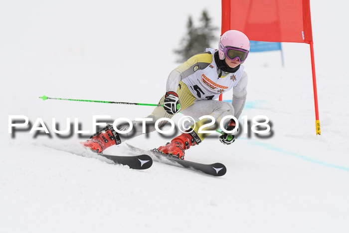 Dt. Schülercup U14 Finale, Riesenslalom, 03.03.2018