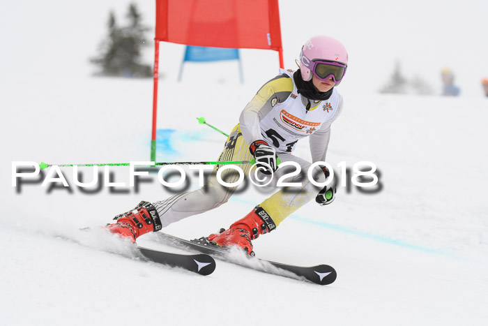 Dt. Schülercup U14 Finale, Riesenslalom, 03.03.2018