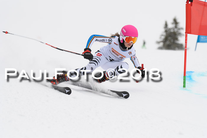 Dt. Schülercup U14 Finale, Riesenslalom, 03.03.2018