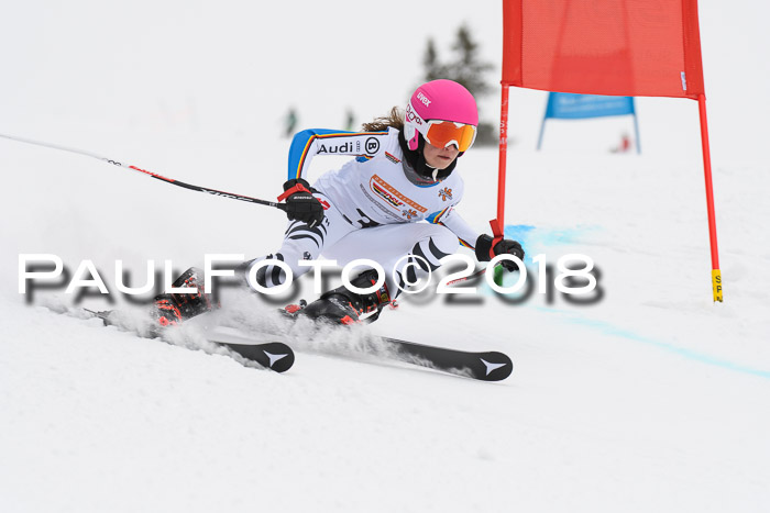 Dt. Schülercup U14 Finale, Riesenslalom, 03.03.2018