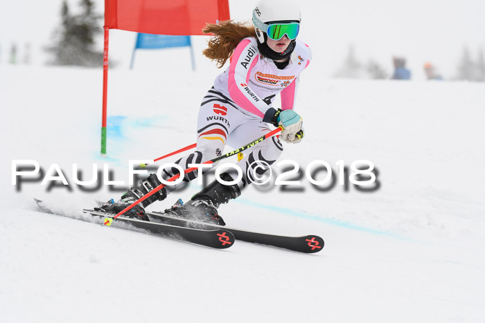 Dt. Schülercup U14 Finale, Riesenslalom, 03.03.2018