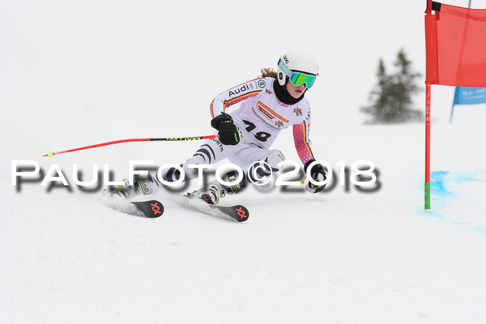 Dt. Schülercup U14 Finale, Riesenslalom, 03.03.2018