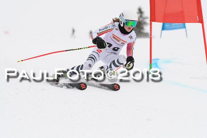 Dt. Schülercup U14 Finale, Riesenslalom, 03.03.2018