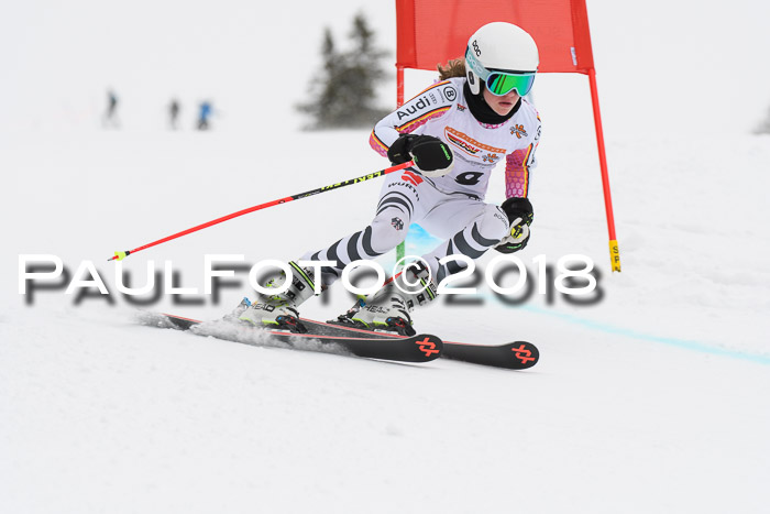 Dt. Schülercup U14 Finale, Riesenslalom, 03.03.2018