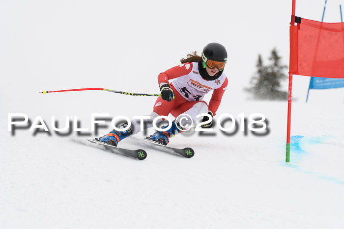 Dt. Schülercup U14 Finale, Riesenslalom, 03.03.2018