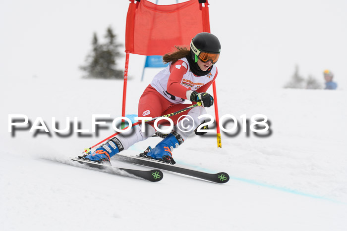 Dt. Schülercup U14 Finale, Riesenslalom, 03.03.2018