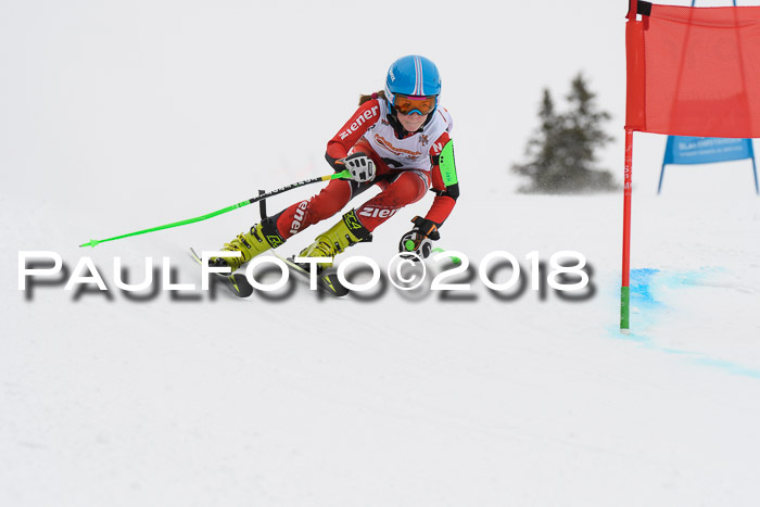 Dt. Schülercup U14 Finale, Riesenslalom, 03.03.2018