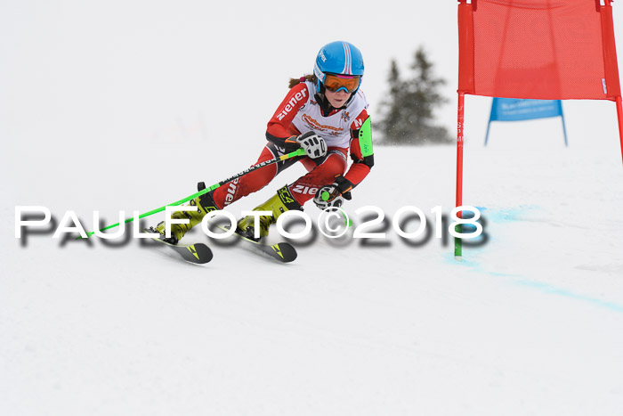 Dt. Schülercup U14 Finale, Riesenslalom, 03.03.2018