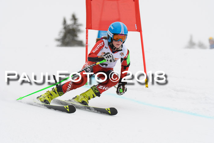 Dt. Schülercup U14 Finale, Riesenslalom, 03.03.2018