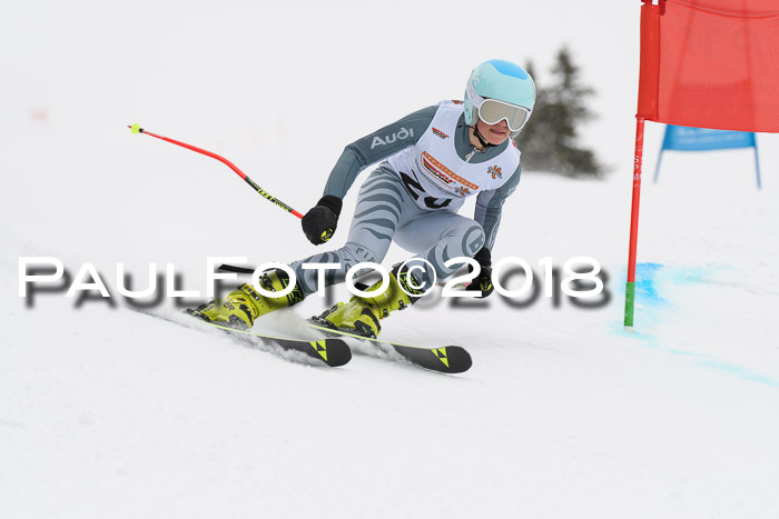 Dt. Schülercup U14 Finale, Riesenslalom, 03.03.2018