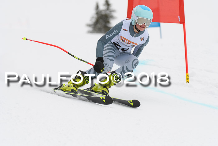 Dt. Schülercup U14 Finale, Riesenslalom, 03.03.2018